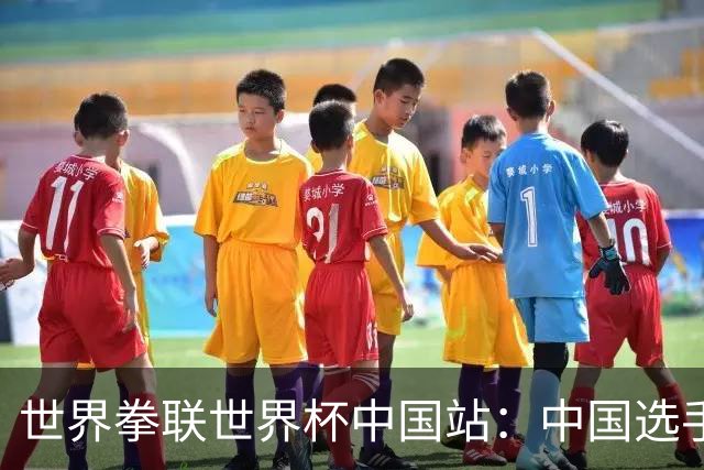 世界拳联世界杯中国站：中国选手斩获5金