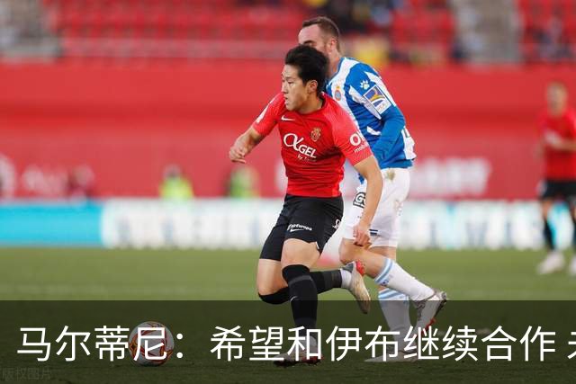 马尔蒂尼：希望和伊布继续合作 未和凯西达成一致
